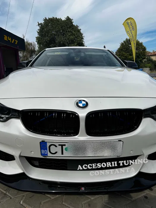 Grile - Nari Duble BMW Seria 4 F32